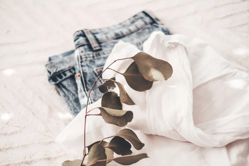 The Capsule Code: What Science Actually Says About How Much Clothing You Need